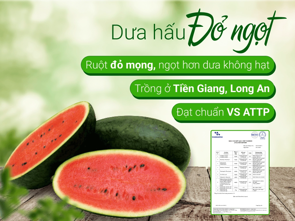 Dưa hấu đỏ trái 1.7kg - 2kg