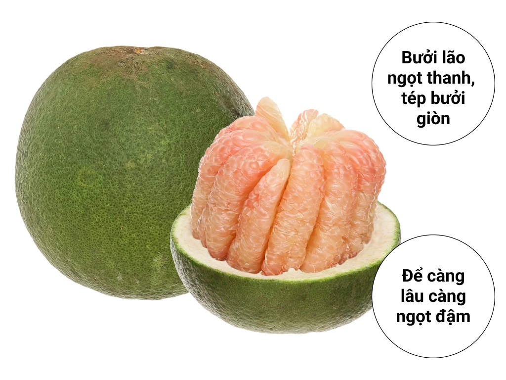 Bưởi da xanh lão trái 800g - 1kg